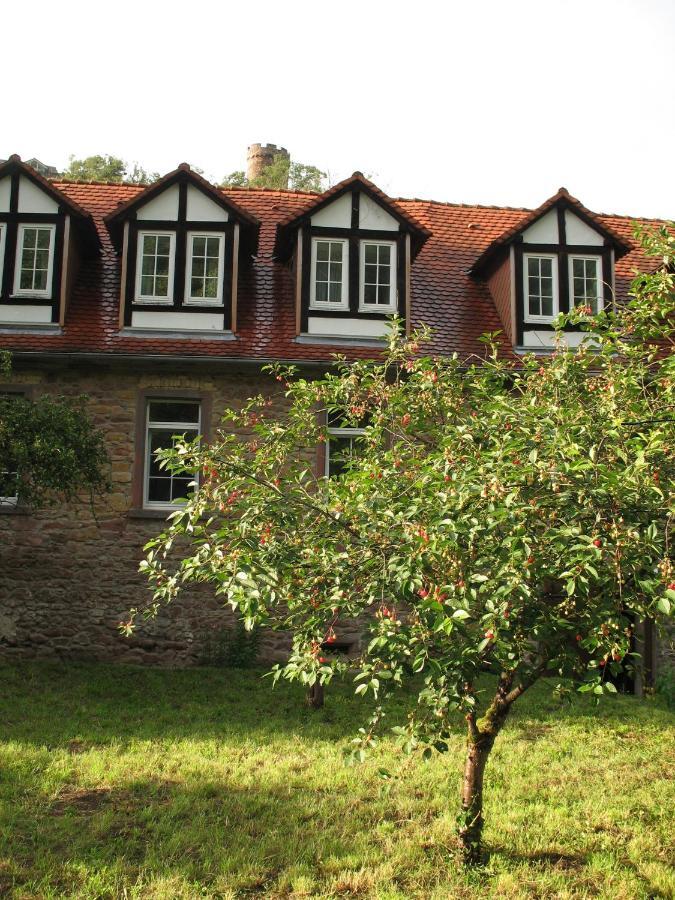 Hotel Gastehaus Felsenmuhle Im Tal Neuleiningen Zimmer foto